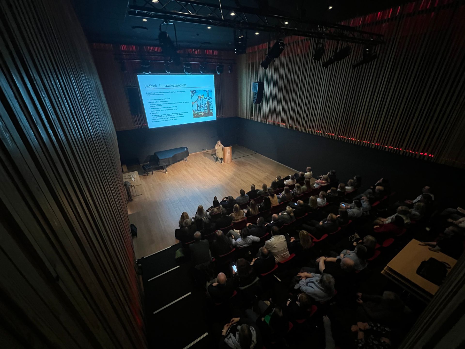 Wide-angle view of a packed Berg auditorium during a lecture on Swedish stress-related disorders.