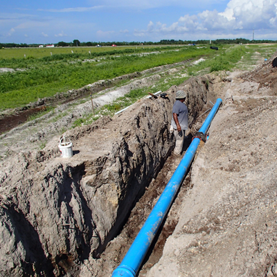Man installing blue pipe in a trench in a field.