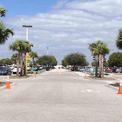 Driveway lined with palm trees and parked cars under a cloudy sky.