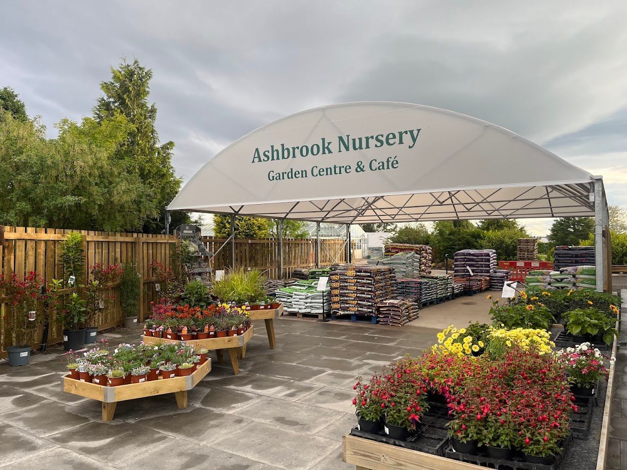 Ashbrook Nursery 4