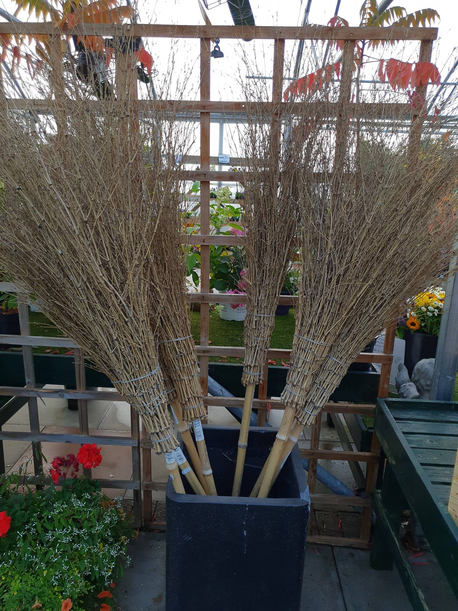 Ashbrook Nursery 4