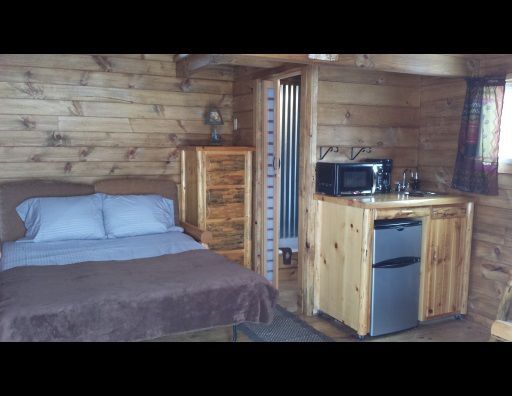 A bedroom in a log cabin with a bed , dresser , refrigerator and microwave.