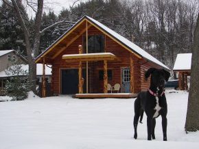 A black dog standing in front of a log cabin in the snow