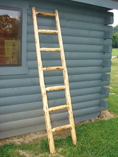 A wooden ladder is leaning against a log cabin.