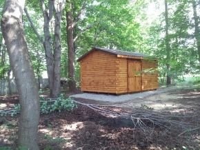 A wooden shed is sitting in the middle of a forest.