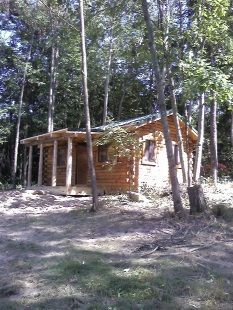 A small wooden cabin in the middle of a forest