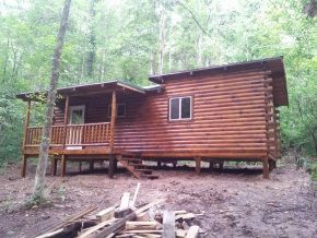 A small log cabin in the middle of a forest