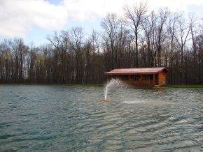 A small house is in the middle of a lake with trees in the background.