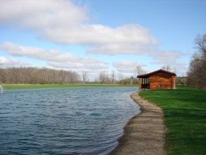 A small wooden house is sitting on the shore of a lake.