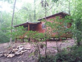 A small log cabin in the middle of a forest surrounded by trees.