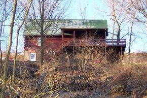 A log cabin with a green roof is surrounded by trees.