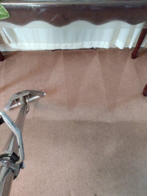 Vacuum Cleaner On Rug — Bristol, VA — Carpet Care-O-Van of Abingdon