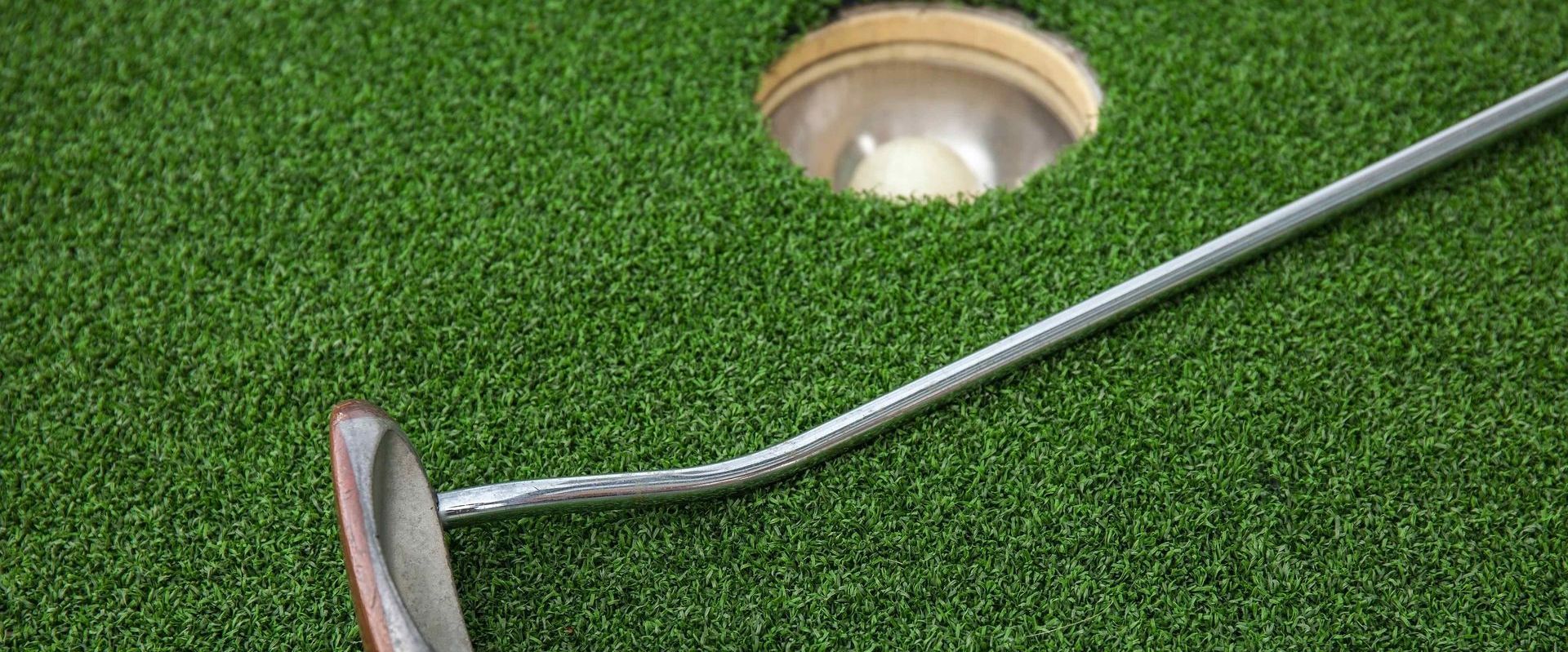 Backyard Putting Green Artificial Turf