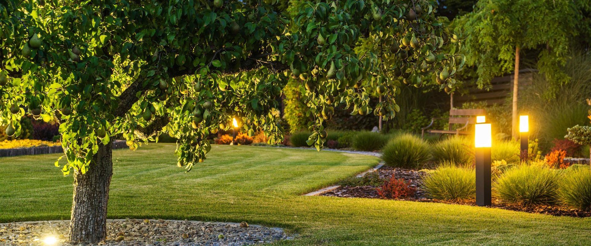 Beautiful Landscape With Lighting For Trees And Garden
