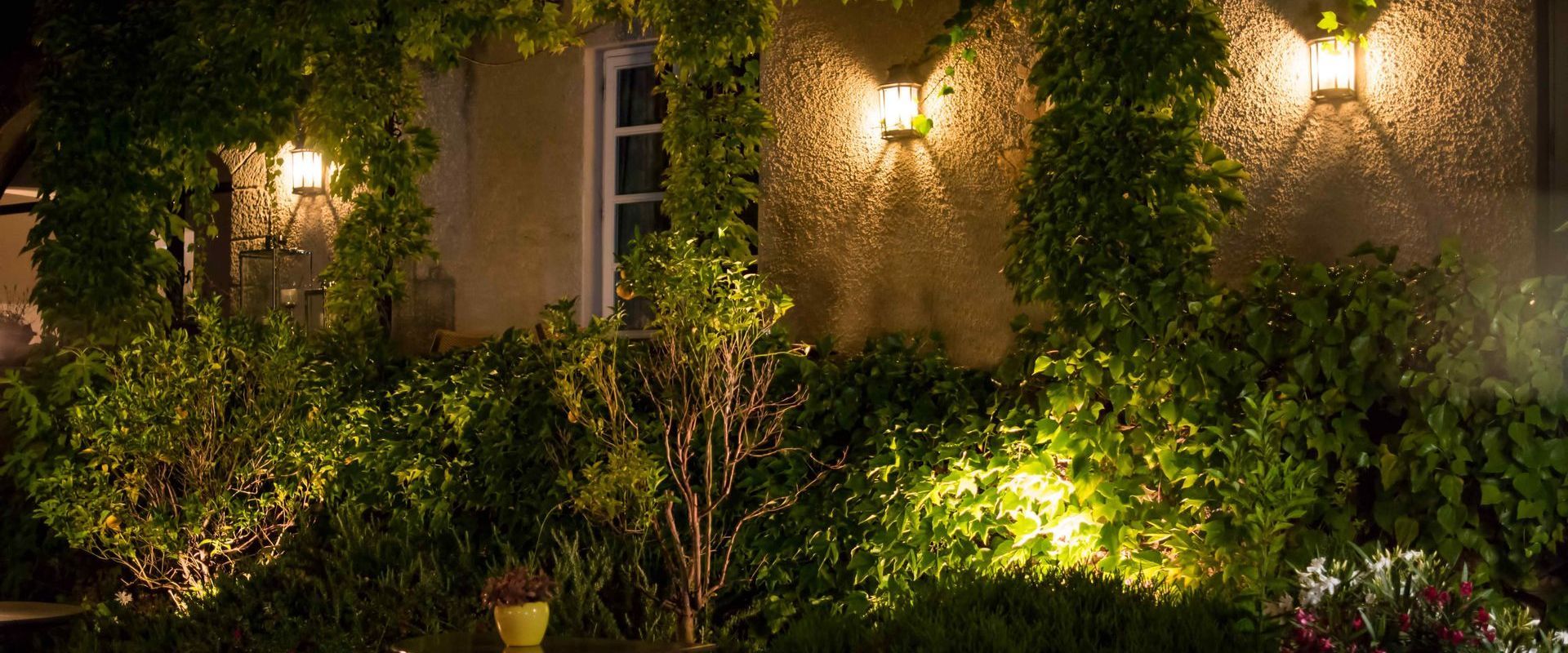 Downlighting On Building Wall With Vines On Wall