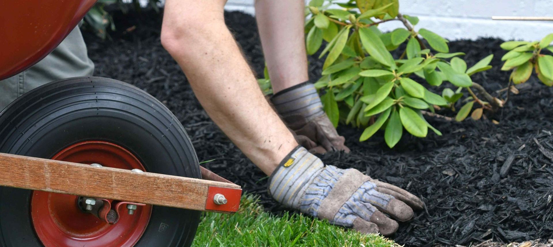 Home Owner Landscaping Garden Beds With Mulch DIY