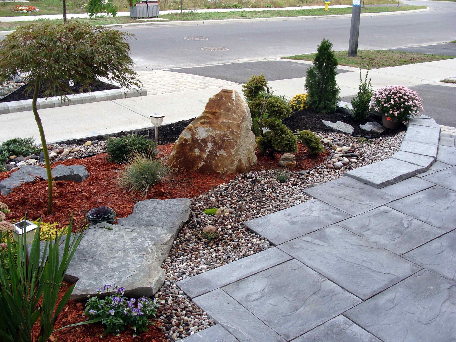 Affordable Drought Resistant Flower Bed with Stones and Large Rocks Plus Shrubs and Small Trees