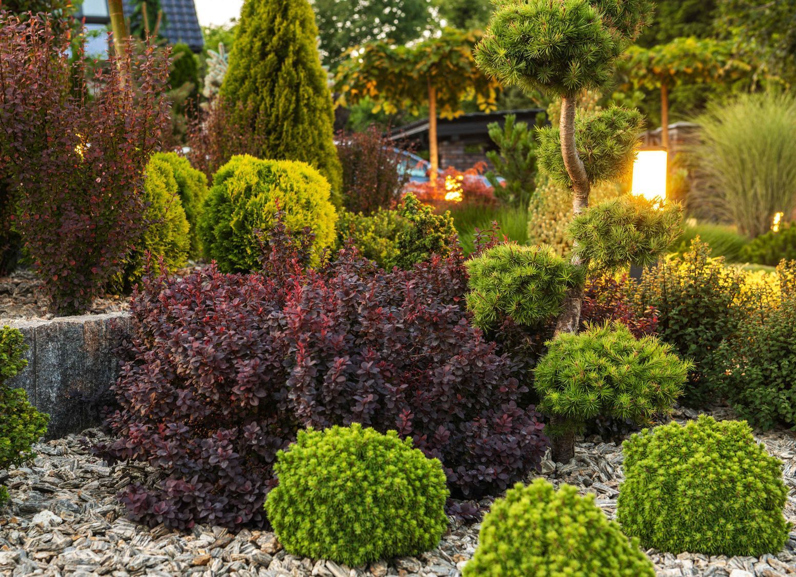 Affordable Landscape Light in Middle of Rock Garden with Bushes and Trees