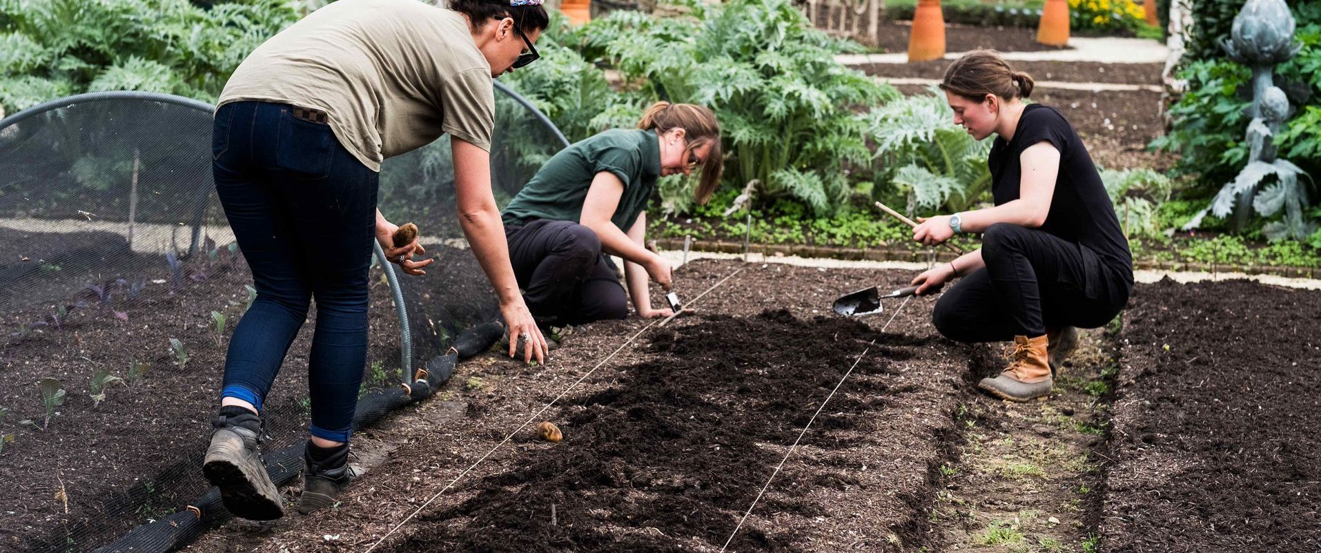 Three Women Marking Out Vegetable Garden In Soil