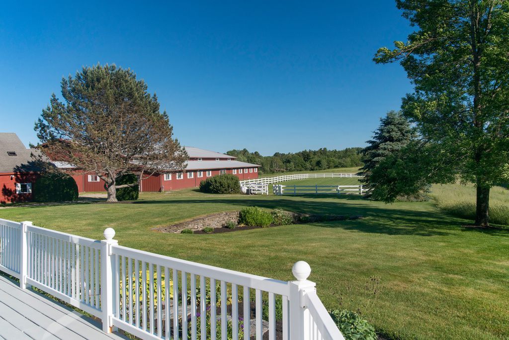 View of a green garden after maintenance