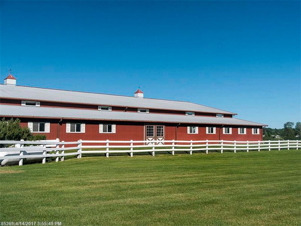 View of a green garden after maintenance