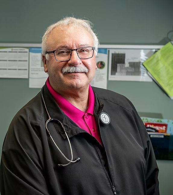 Green palm frond, radiating lines, catching sunlight.