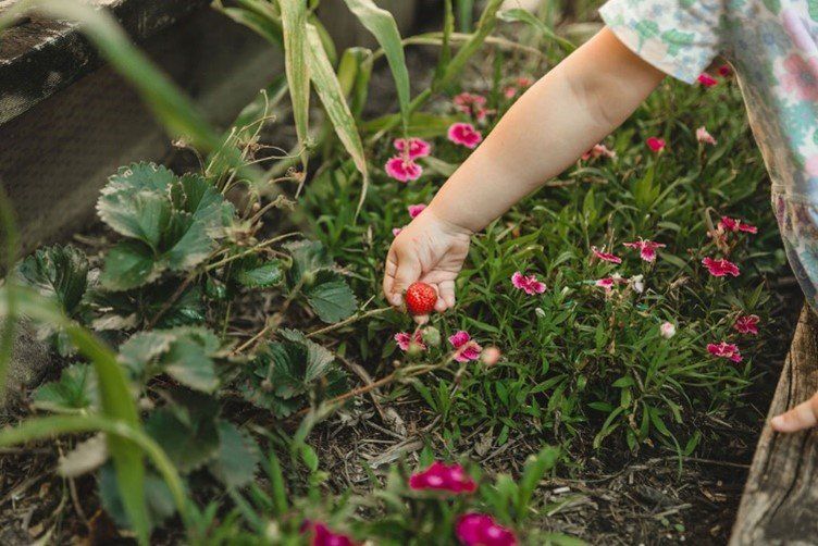 Children Taking Care of Plants