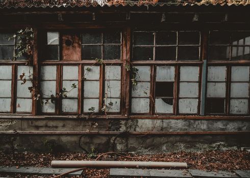 Dilapidated building facade with broken windows and overgrown foliage.