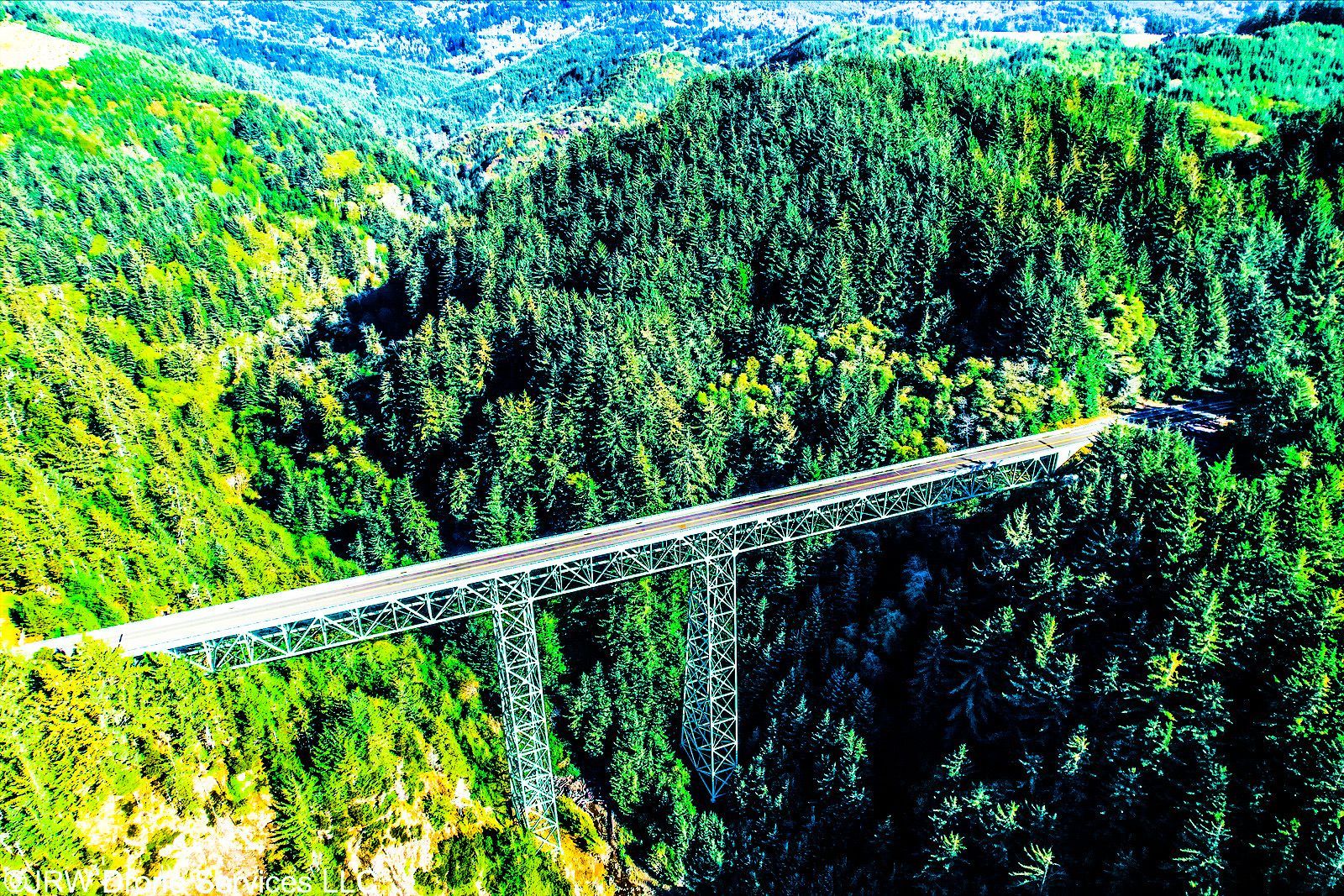 Long Bridge In The Forest — Gold Beach, OR — JRW Drone Services LLC
