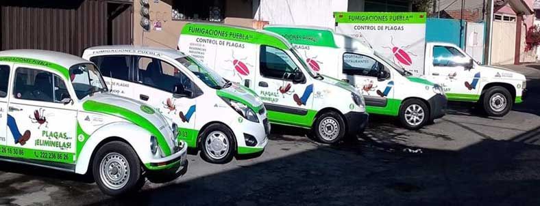 Fumigaciones Puebla