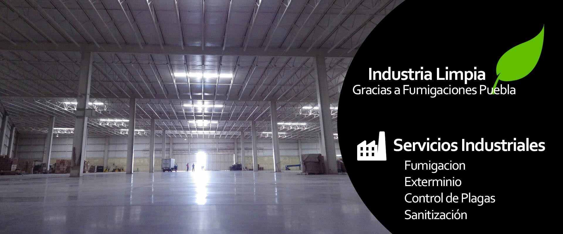 Fumigaciones Puebla