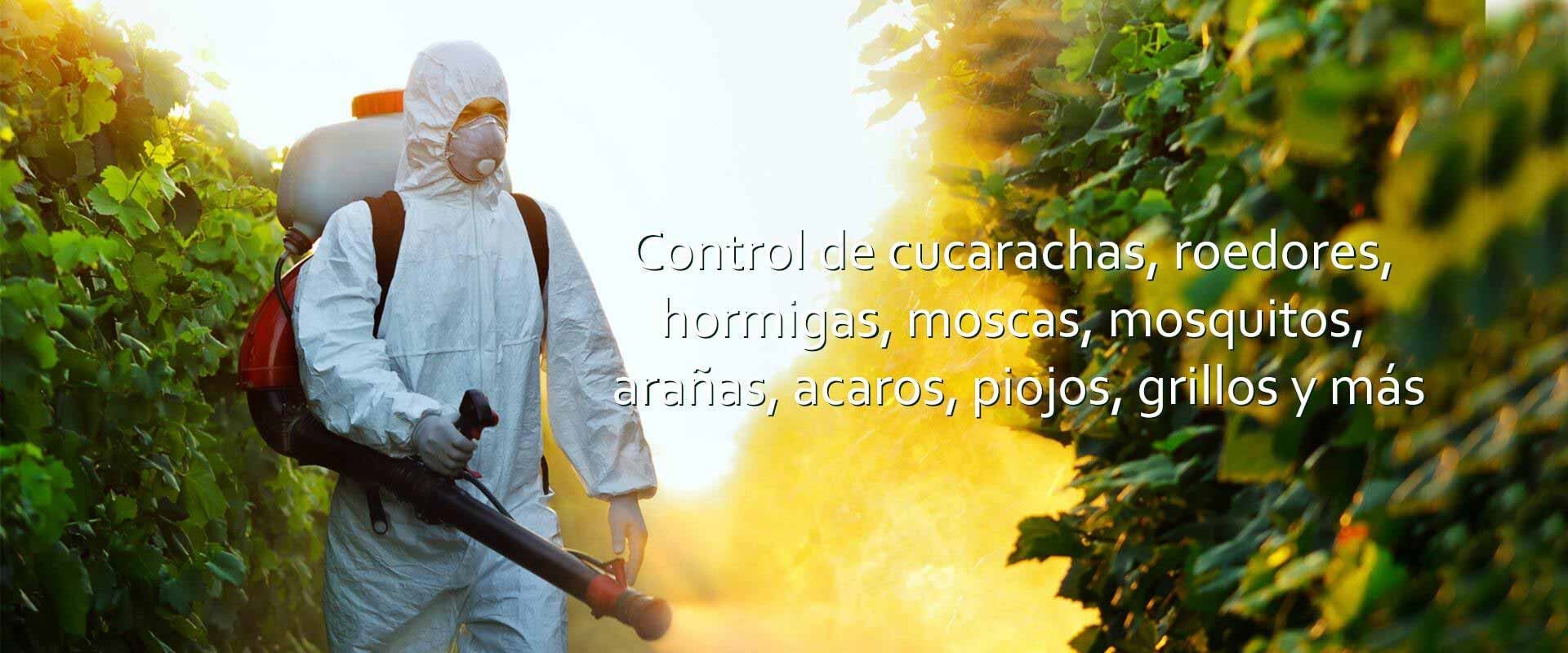 Fumigaciones Puebla