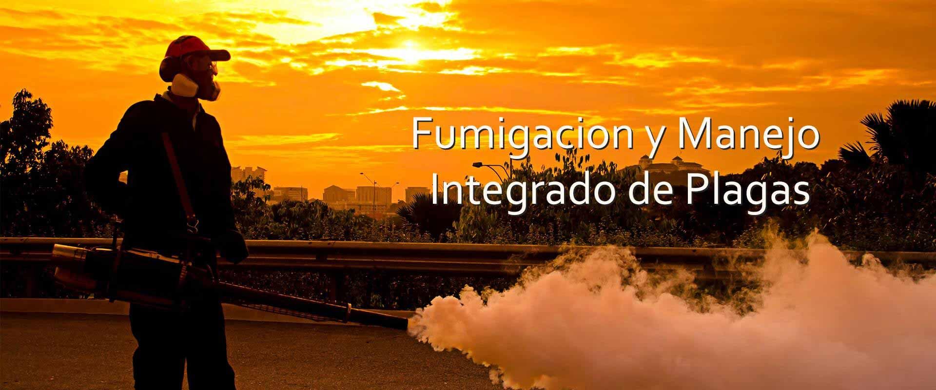 Fumigaciones Puebla