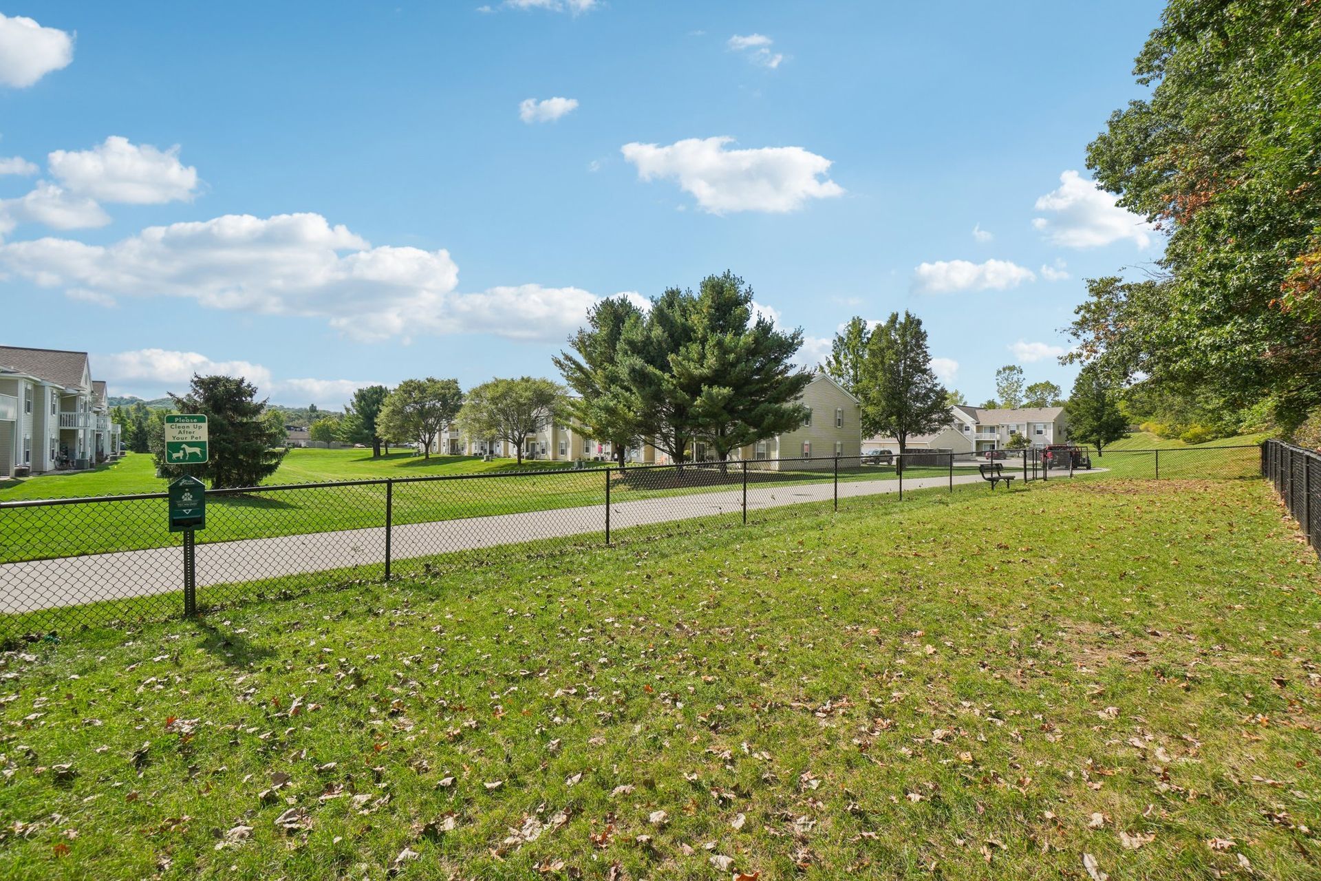 Grassy dog park with black fence, trees, and sky with white clouds.