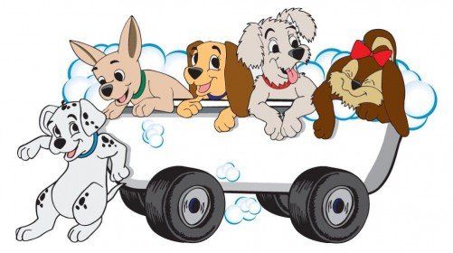 Dog Groomers — Denver, Colorado — My Denver Pet LLC