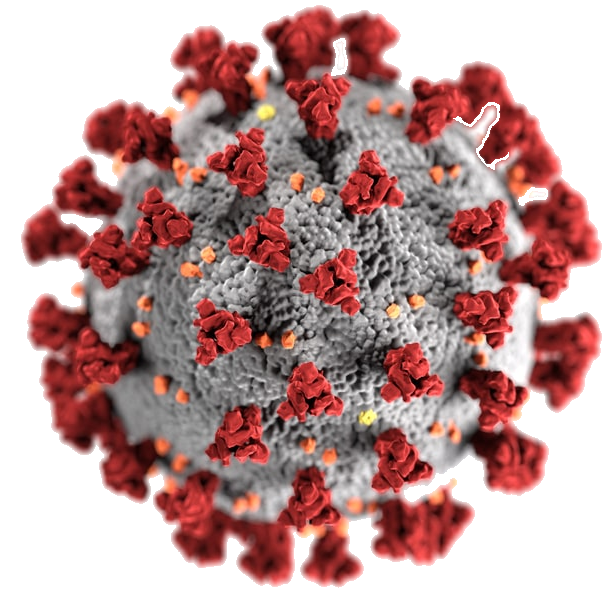A close up of a virus with red and gray cells on a white background.
