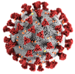 A close up of a virus with red and gray cells on a white background.