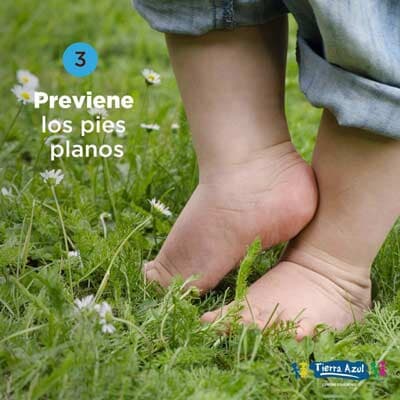 TIERRA AZUL - HABILIDADES