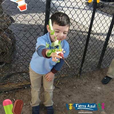 TIERRA AZUL - CONFIANZA