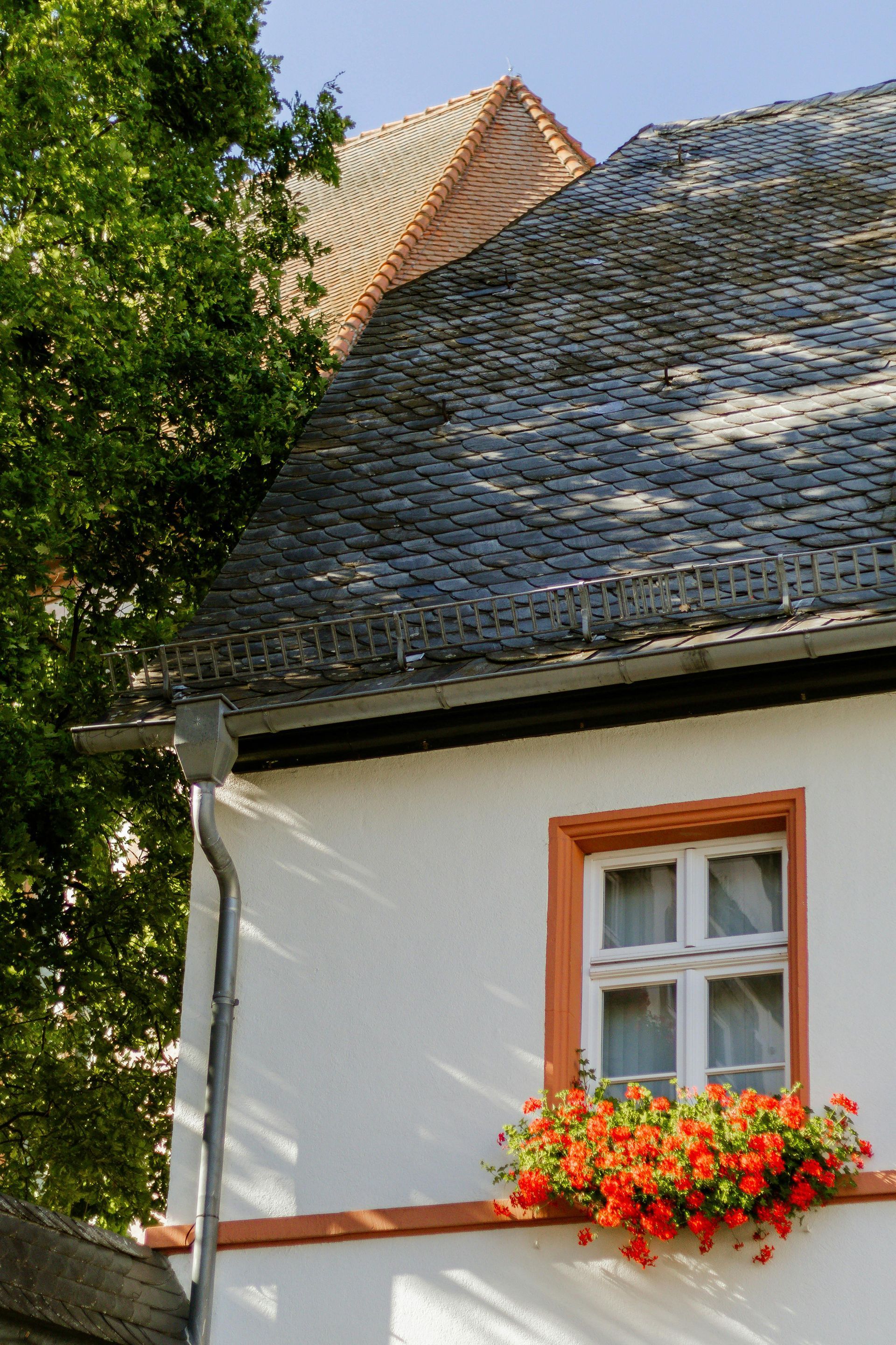 White building with window box of red flowers, under grey slate and red-tiled roofs; green tree in background.