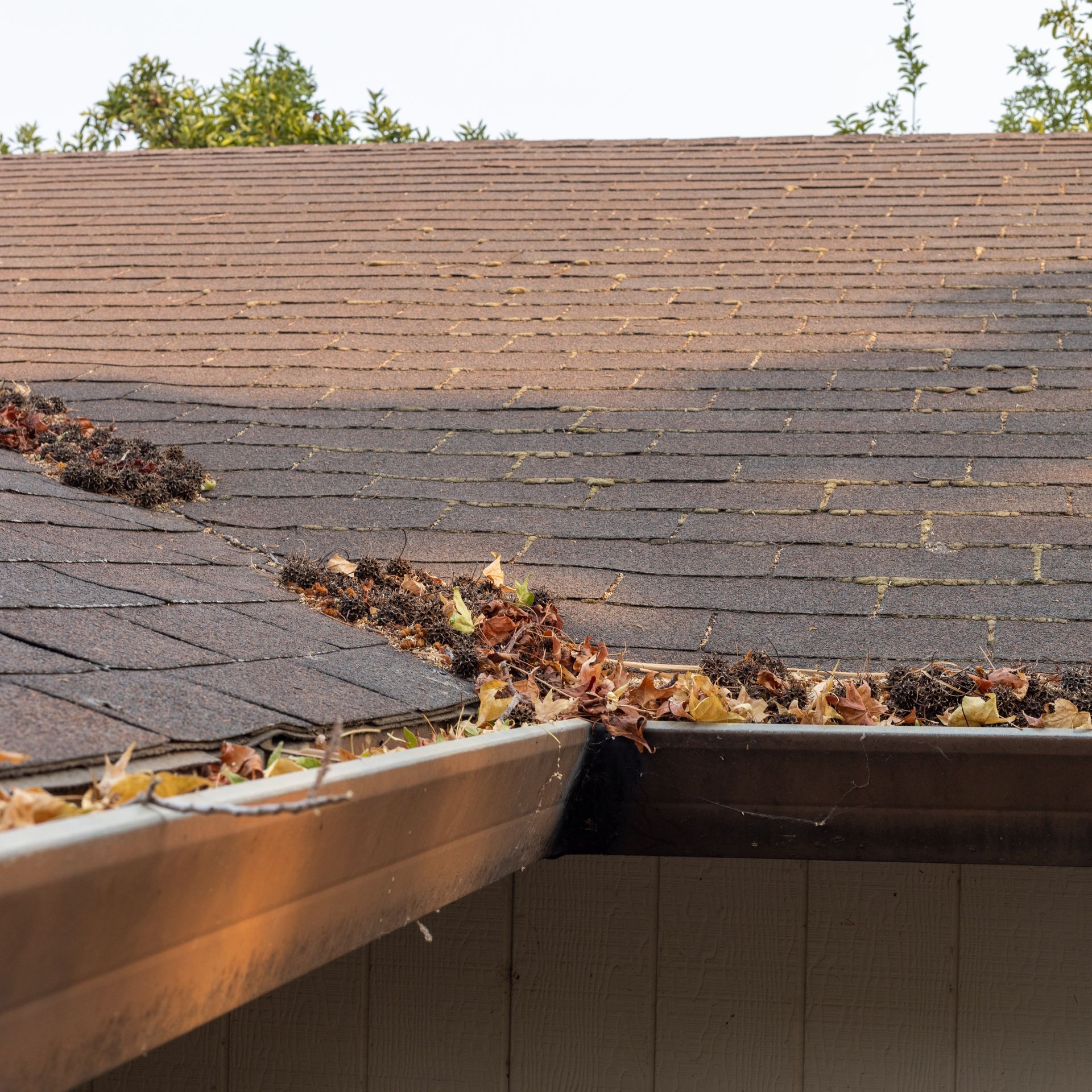 Brown roof and gutter filled with leaves.