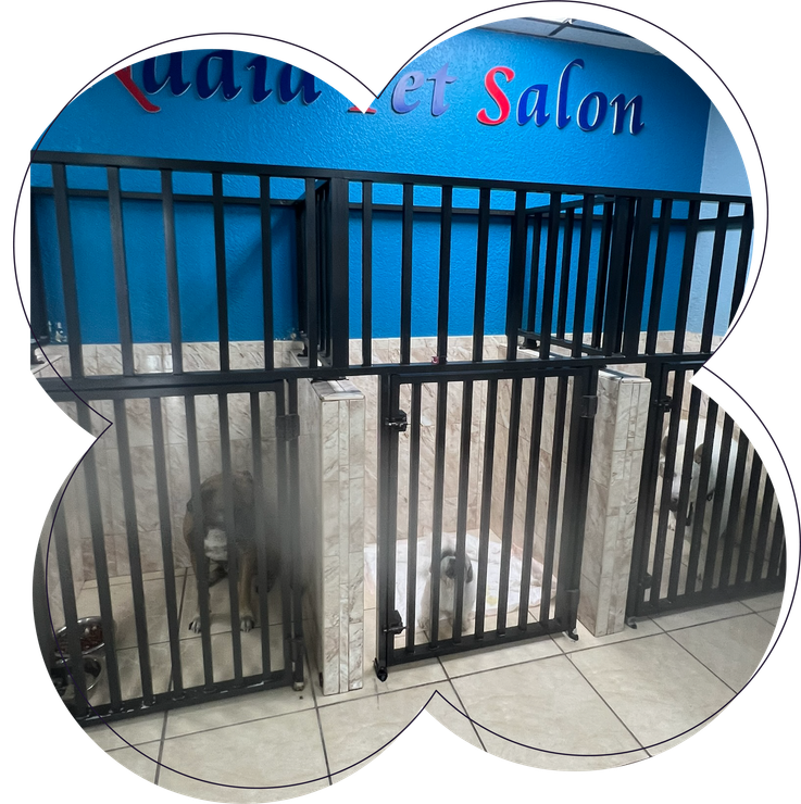 A dog is in a cage at a pet salon