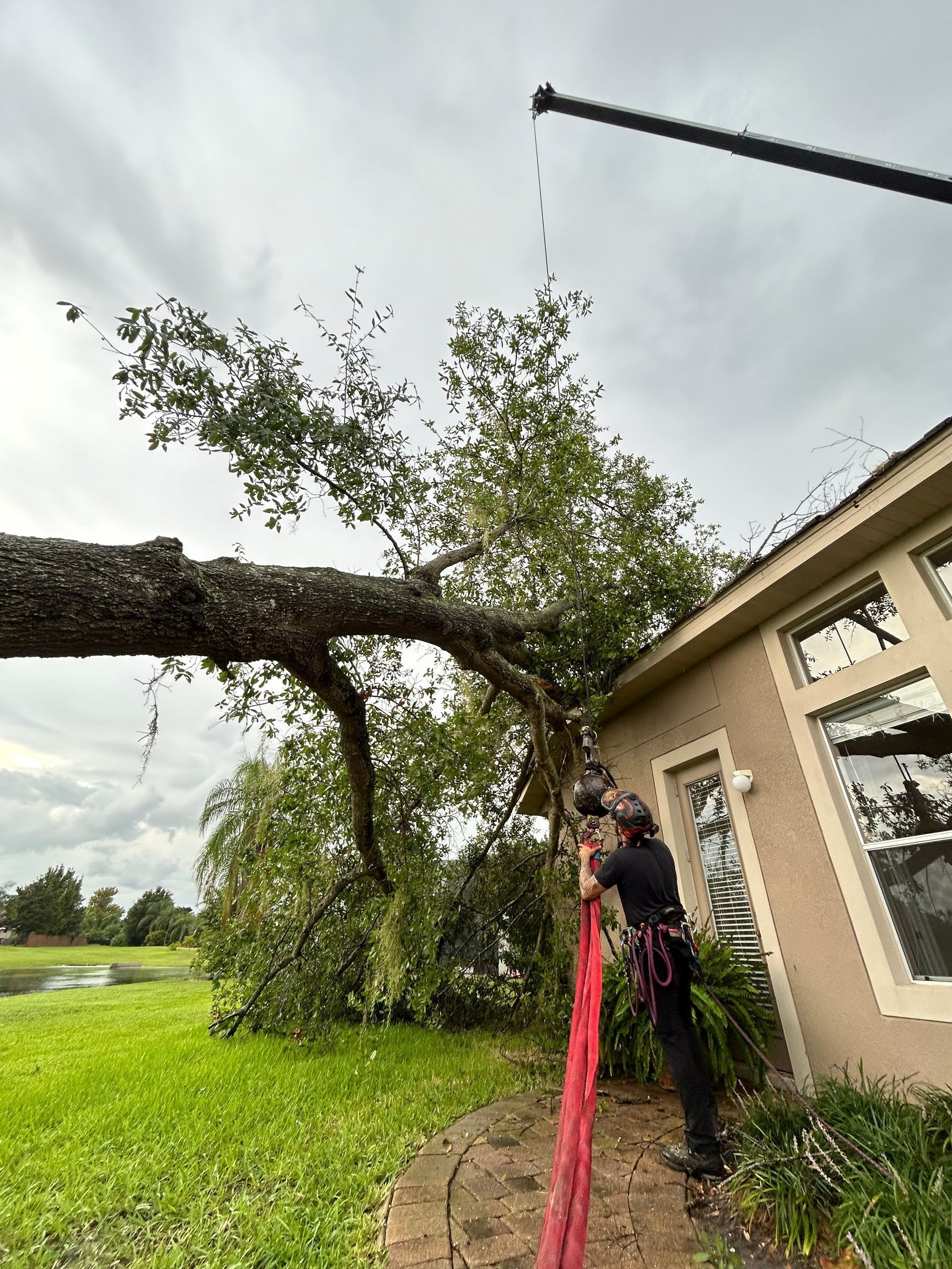 A person on a ladder trims a tree branch that has fallen onto a house, cloudy sky overhead. Green grass surrounds the house.