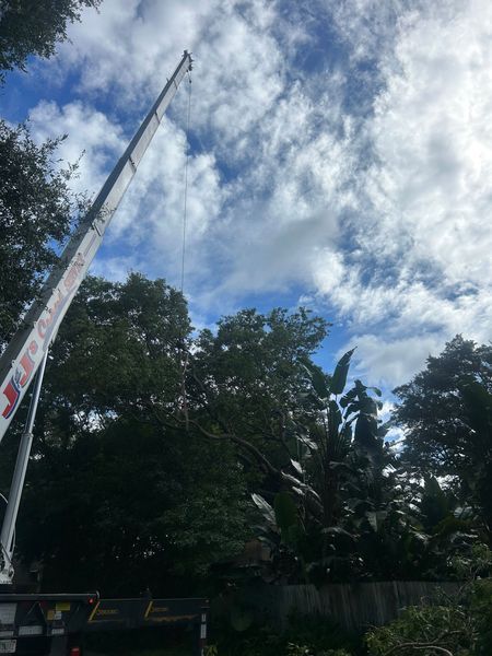 A crane reaching high into a cloudy sky, positioned next to leafy trees.