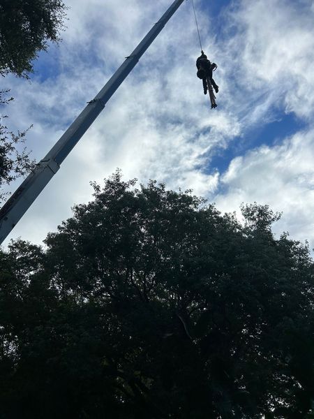 Person suspended by a crane working on a tall tree, against a partly cloudy sky.