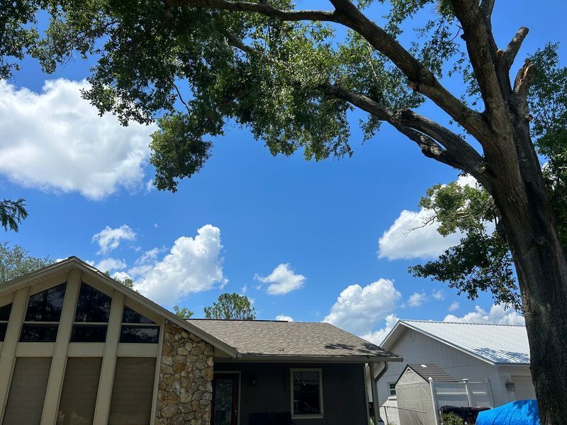A sunny sky with puffy white clouds visible above several houses and a large tree.