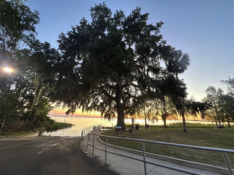 A boat launch at sunset with a large tree draped in Spanish moss. The sun casts golden light on the water.