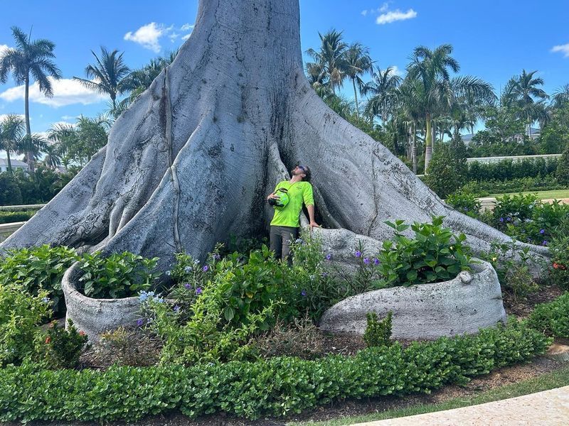 Person in green shirt stands near the massive trunk of a large tree in a tropical garden.