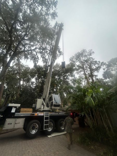 A large crane lifting something among trees; person walking nearby on a cloudy day.