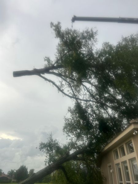 A large tree branch being lifted by a crane near a house with cloudy sky.